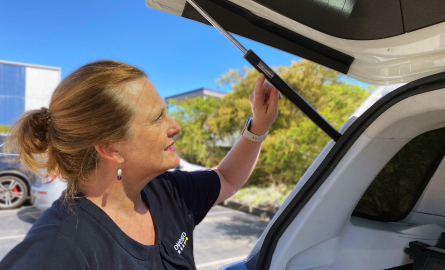 Bonnet gas struts